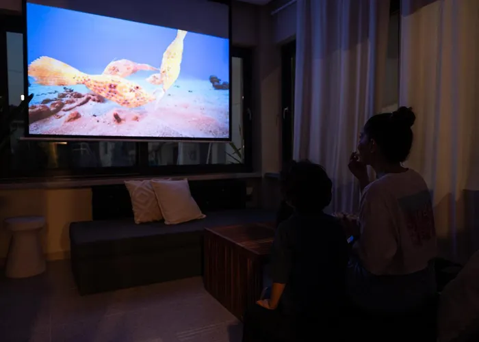 Daire Pappou Leptokarya (Pieria)